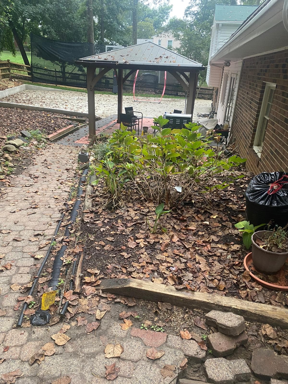 Backyard mid-project with new plantings