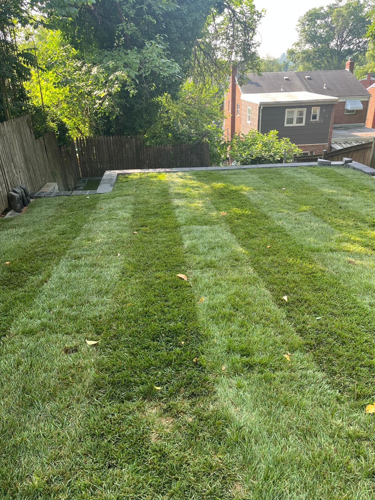 Irrigation & Drainage